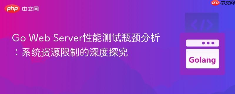Go Web Server性能测试瓶颈分析：系统资源限制的深度探究