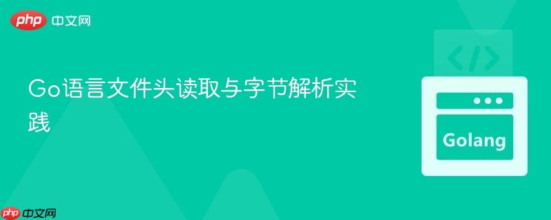 Go语言文件头读取与字节解析实践