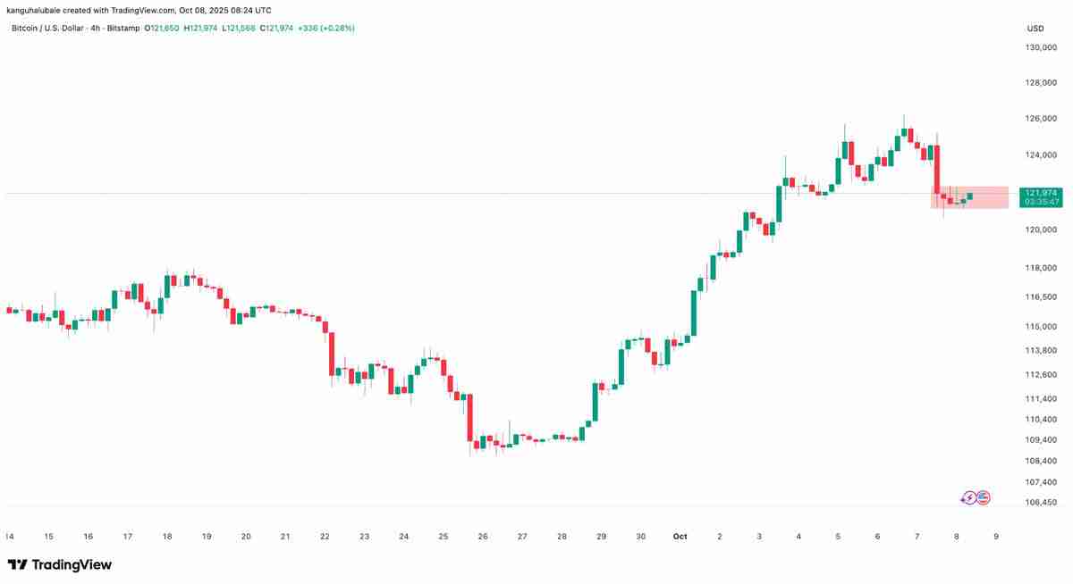 分析师称比特币（BTC）仍有增长空间：30万美元价格目标依然可期