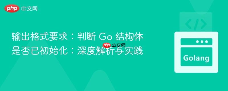 输出格式要求：判断 Go 结构体是否已初始化：深度解析与实践
