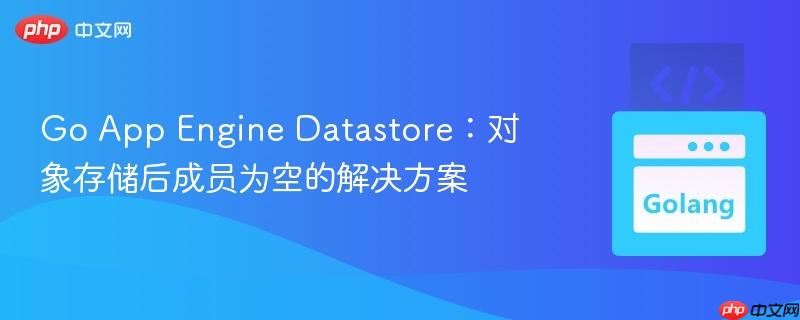Go App Engine Datastore：对象存储后成员为空的解决方案