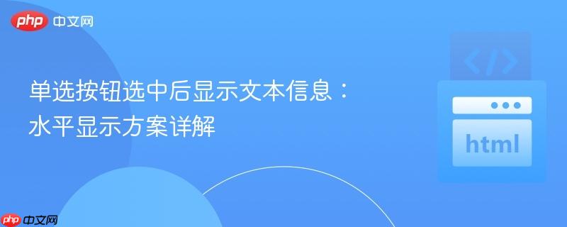 单选按钮选中后显示文本信息：水平显示方案详解