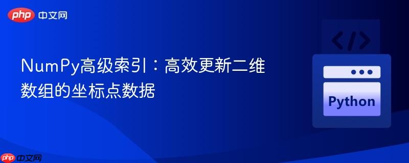 NumPy高级索引：高效更新二维数组的坐标点数据