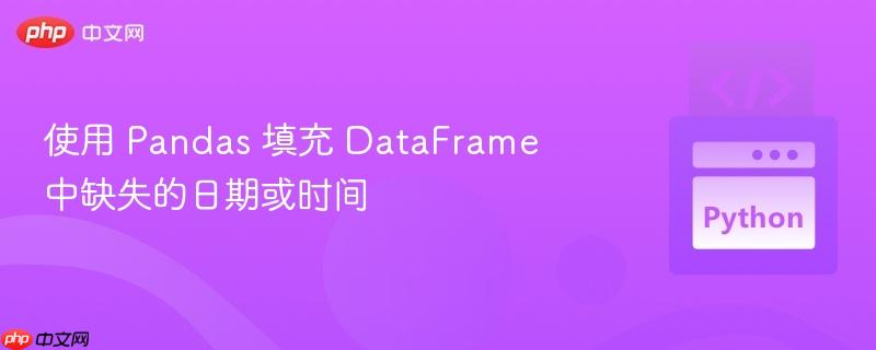 使用 Pandas 填充 DataFrame 中缺失的日期或时间
