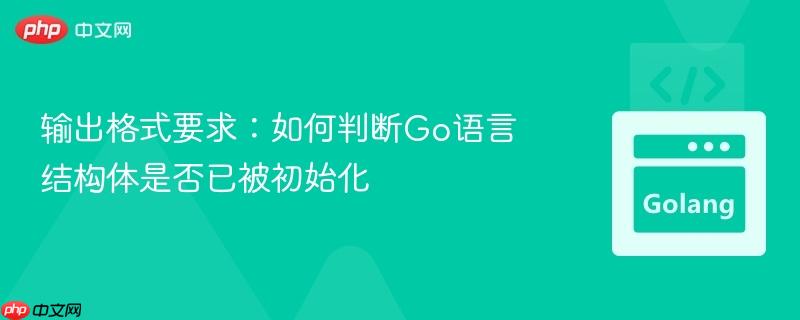 输出格式要求：如何判断Go语言结构体是否已被初始化