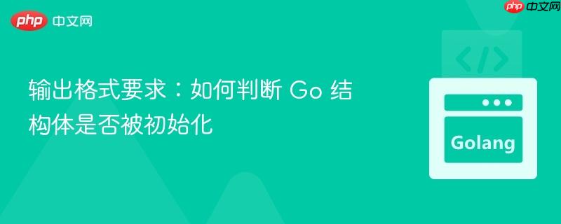 输出格式要求：如何判断 Go 结构体是否被初始化