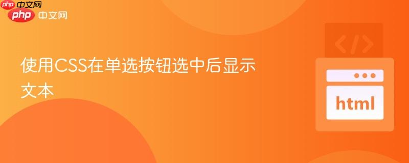 使用CSS在单选按钮选中后显示文本
