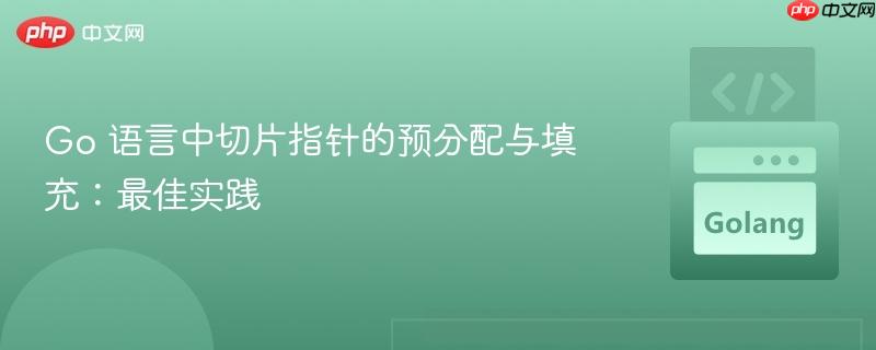 Go 语言中切片指针的预分配与填充：最佳实践