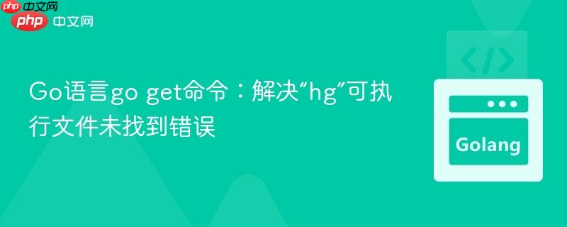 Go语言go get命令：解决“hg”可执行文件未找到错误