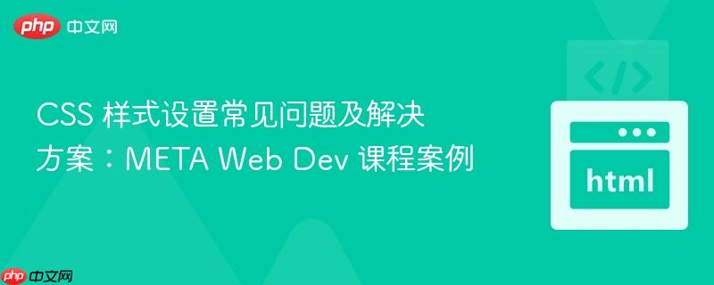 CSS 样式设置常见问题及解决方案：META Web Dev 课程案例