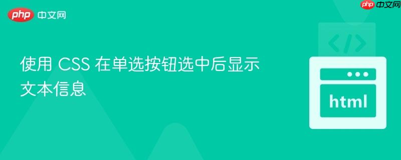 使用 CSS 在单选按钮选中后显示文本信息