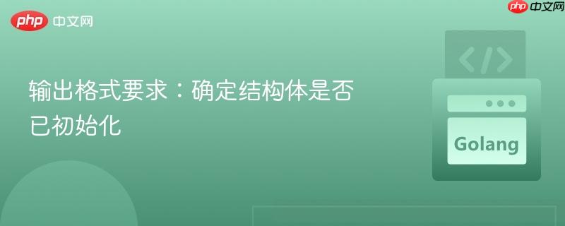 输出格式要求：确定结构体是否已初始化