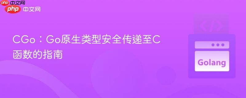 CGo：Go原生类型安全传递至C函数的指南