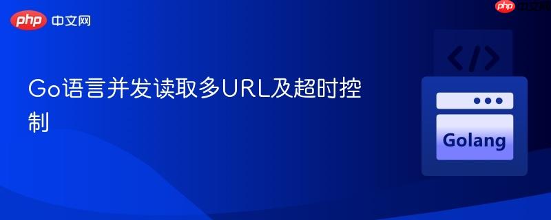 Go语言并发读取多URL及超时控制