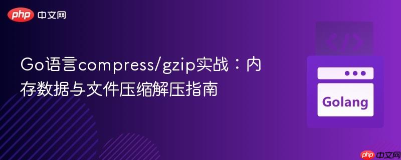 Go语言compress/gzip实战：内存数据与文件压缩解压指南