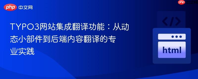 TYPO3网站集成翻译功能：从动态小部件到后端内容翻译的专业实践