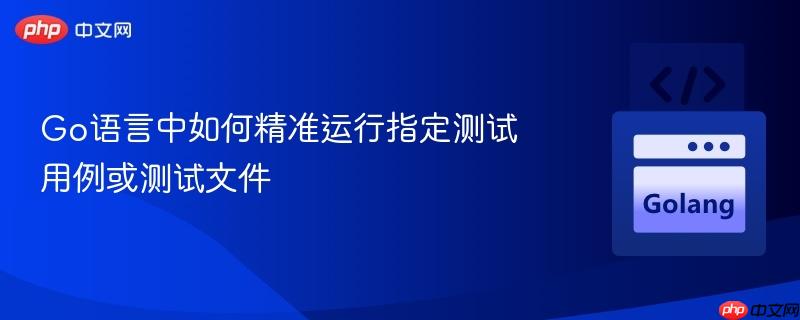 Go语言中如何精准运行指定测试用例或测试文件