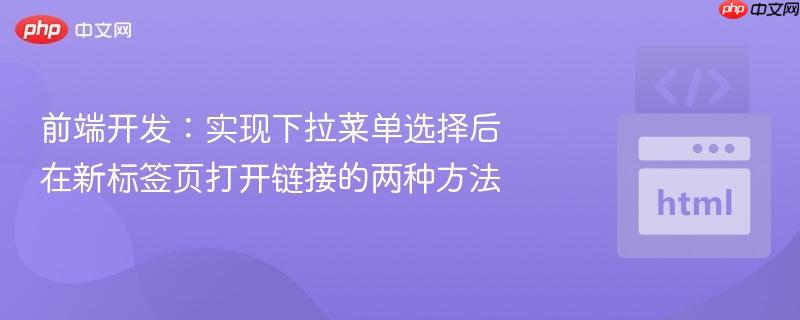 前端开发：实现下拉菜单选择后在新标签页打开链接的两种方法