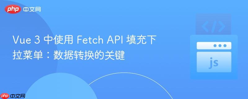 Vue 3 中使用 Fetch API 填充下拉菜单：数据转换的关键