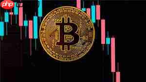 wif币2025年能涨到什么价位