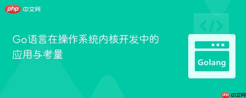 Go语言在操作系统内核开发中的应用与考量
