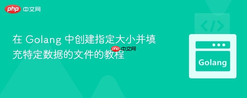 在 Golang 中创建指定大小并填充特定数据的文件的教程