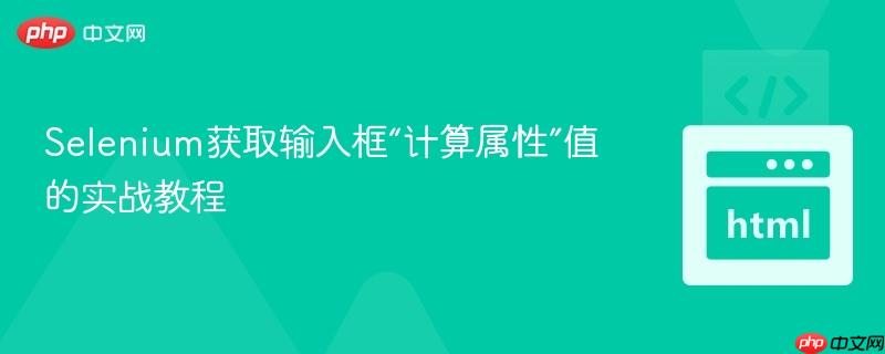 Selenium获取输入框“计算属性”值的实战教程