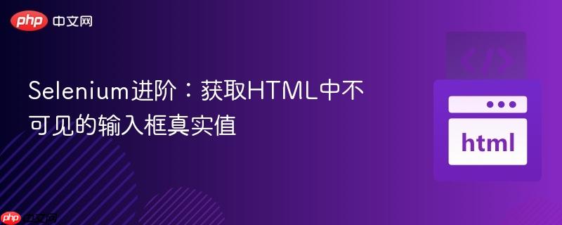 Selenium进阶：获取HTML中不可见的输入框真实值