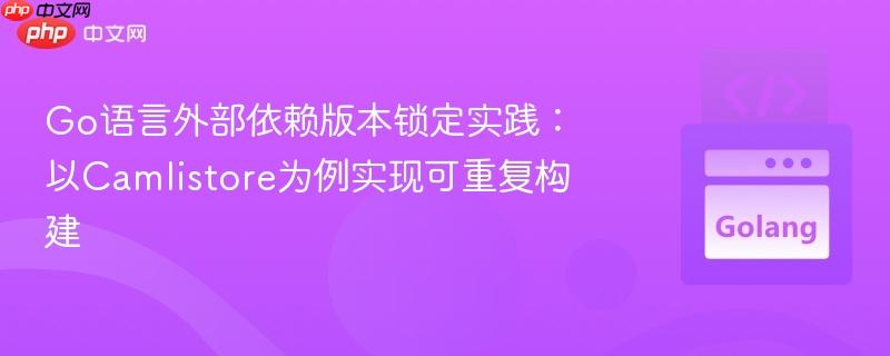 Go语言外部依赖版本锁定实践：以Camlistore为例实现可重复构建