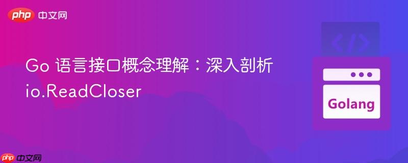 Go 语言接口概念理解：深入剖析 io.ReadCloser