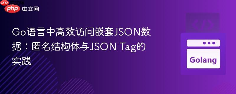 Go语言中高效访问嵌套JSON数据：匿名结构体与JSON Tag的实践