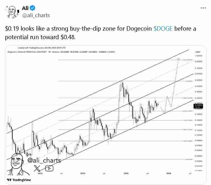 狗狗币价格预测：多头能否引发 0.25 美元的突破？一文分析