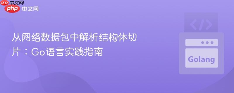 从网络数据包中解析结构体切片：Go语言实践指南