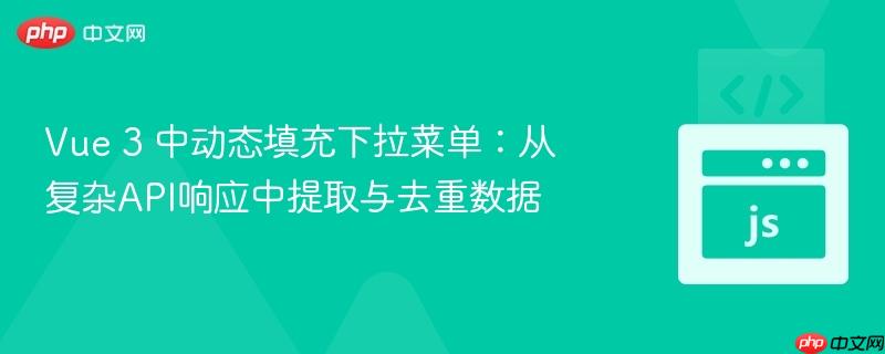 Vue 3 中动态填充下拉菜单：从复杂API响应中提取与去重数据