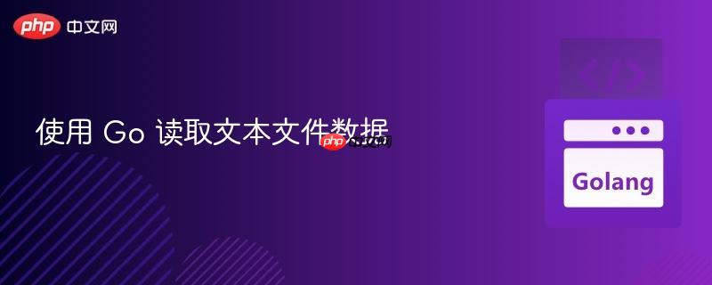 使用 Go 读取文本文件数据