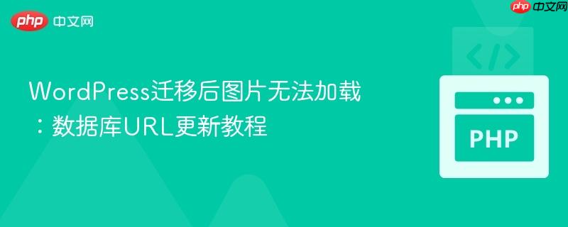 WordPress迁移后图片无法加载：数据库URL更新教程