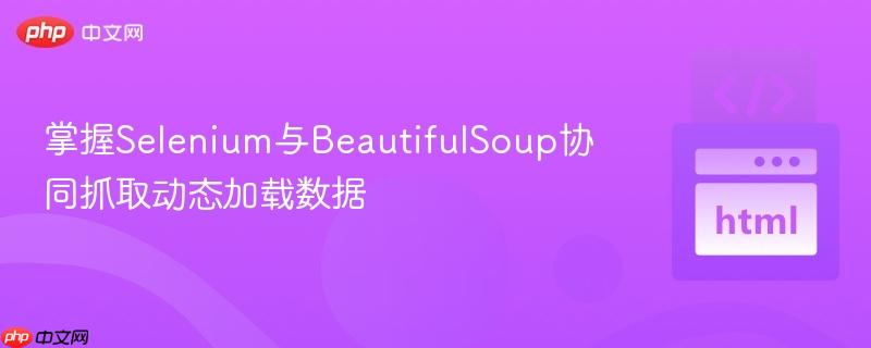 掌握Selenium与BeautifulSoup协同抓取动态加载数据