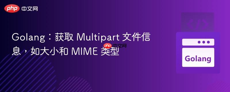 Golang：获取 Multipart 文件信息，如大小和 MIME 类型