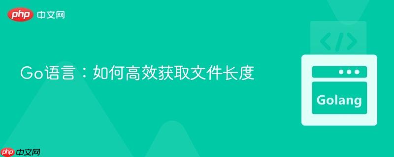 Go语言：如何高效获取文件长度