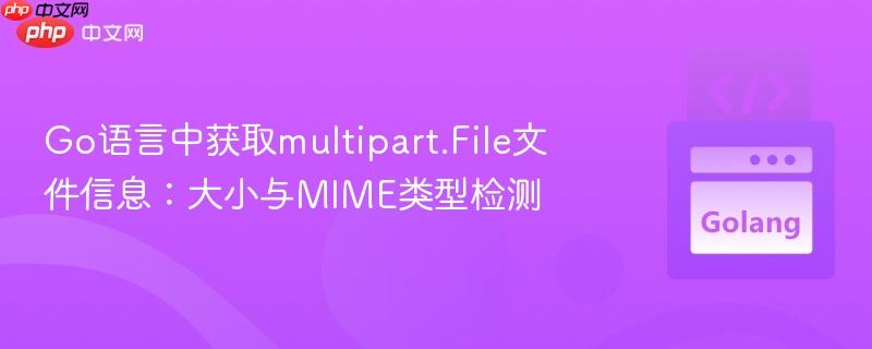Go语言中获取multipart.File文件信息：大小与MIME类型检测