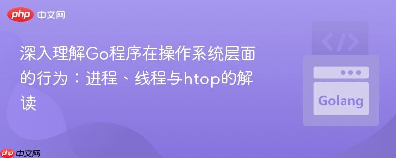 深入理解Go程序在操作系统层面的行为：进程、线程与htop的解读