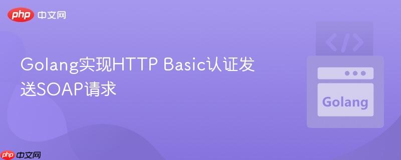 Golang实现HTTP Basic认证发送SOAP请求