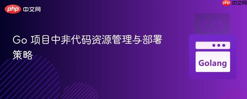 Go 项目中非代码资源管理与部署策略
