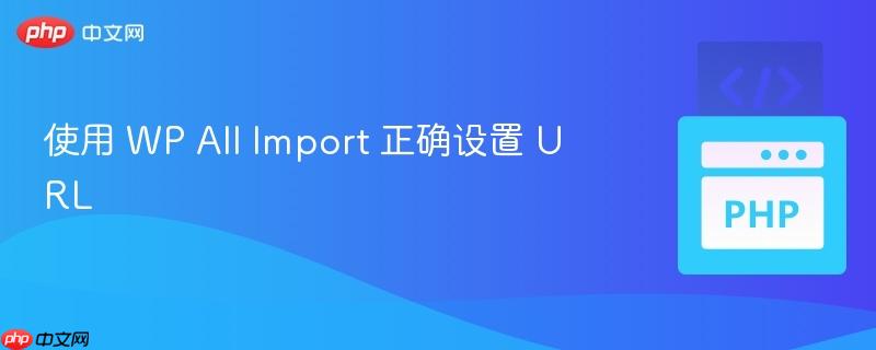 使用 WP All Import 正确设置 URL