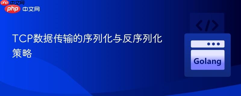 TCP数据传输的序列化与反序列化策略