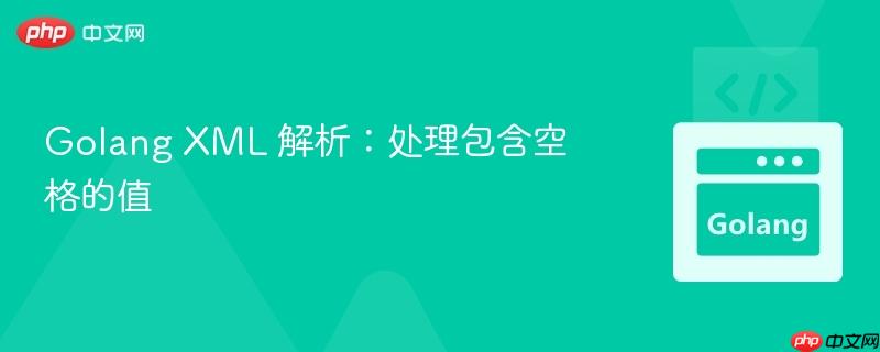 Golang XML 解析：处理包含空格的值