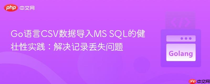 Go语言CSV数据导入MS SQL的健壮性实践：解决记录丢失问题