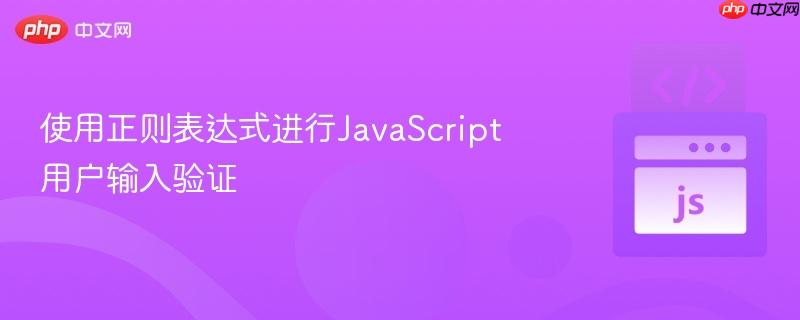 使用正则表达式进行JavaScript用户输入验证