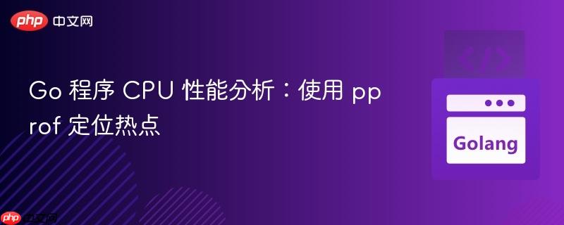 Go 程序 CPU 性能分析：使用 pprof 定位热点