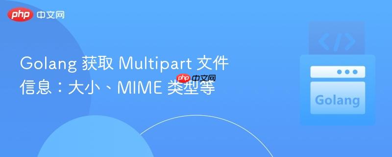 Golang 获取 Multipart 文件信息：大小、MIME 类型等